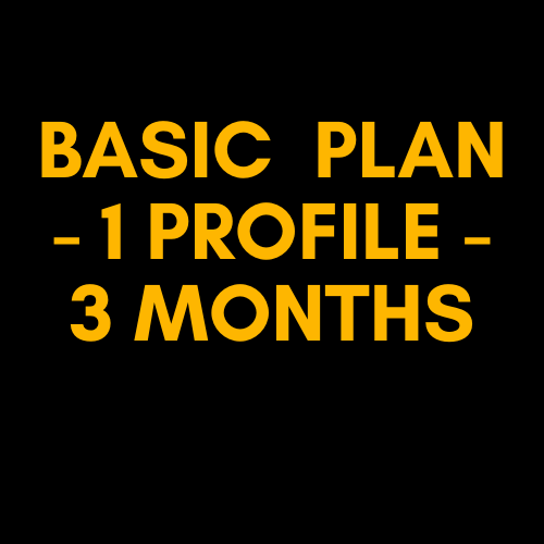 Basic  Plan - 1 Profile - 3 Months