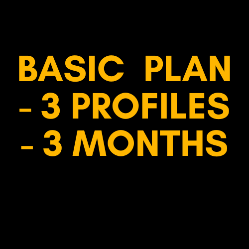 Basic  Plan - 3 Profile - 3 Months