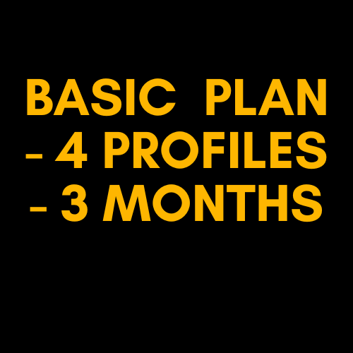 Basic  Plan - 4 Profiles - 3 Months